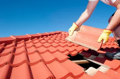 Pose et rénovation de toiture au Born